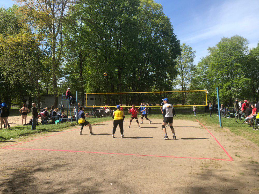 парковый волейбол черняховск калининград