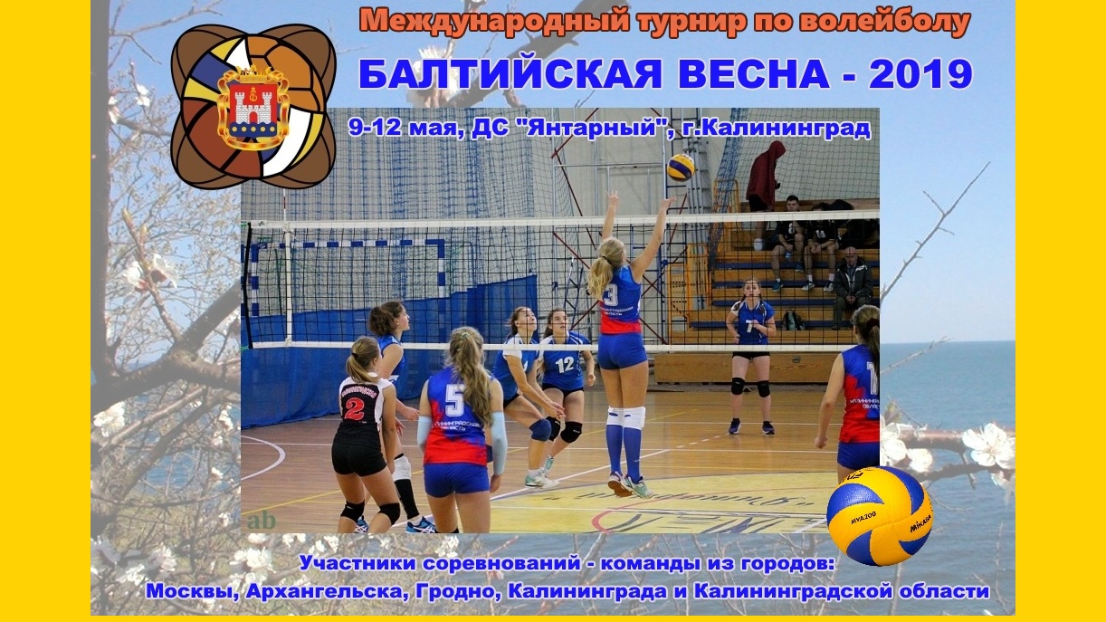 10-11 мая в Калининграде пройдет турнир по волейболу «Балтийская весна»