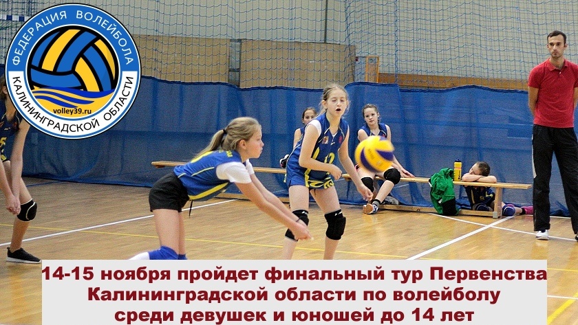 14-15 ноября пройдет 3 тур Первенства Калининградской области по волейболу до 14 лет